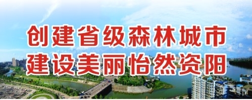 蜜泬里的嫩肉微微颤抖创建省级森林城市 建设美丽怡然资阳